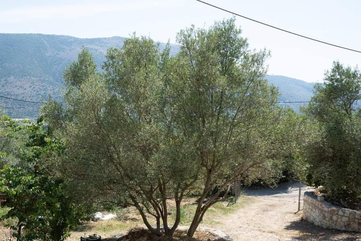 Catherine'S House Ηγουμενίτσα Εξωτερικό φωτογραφία
