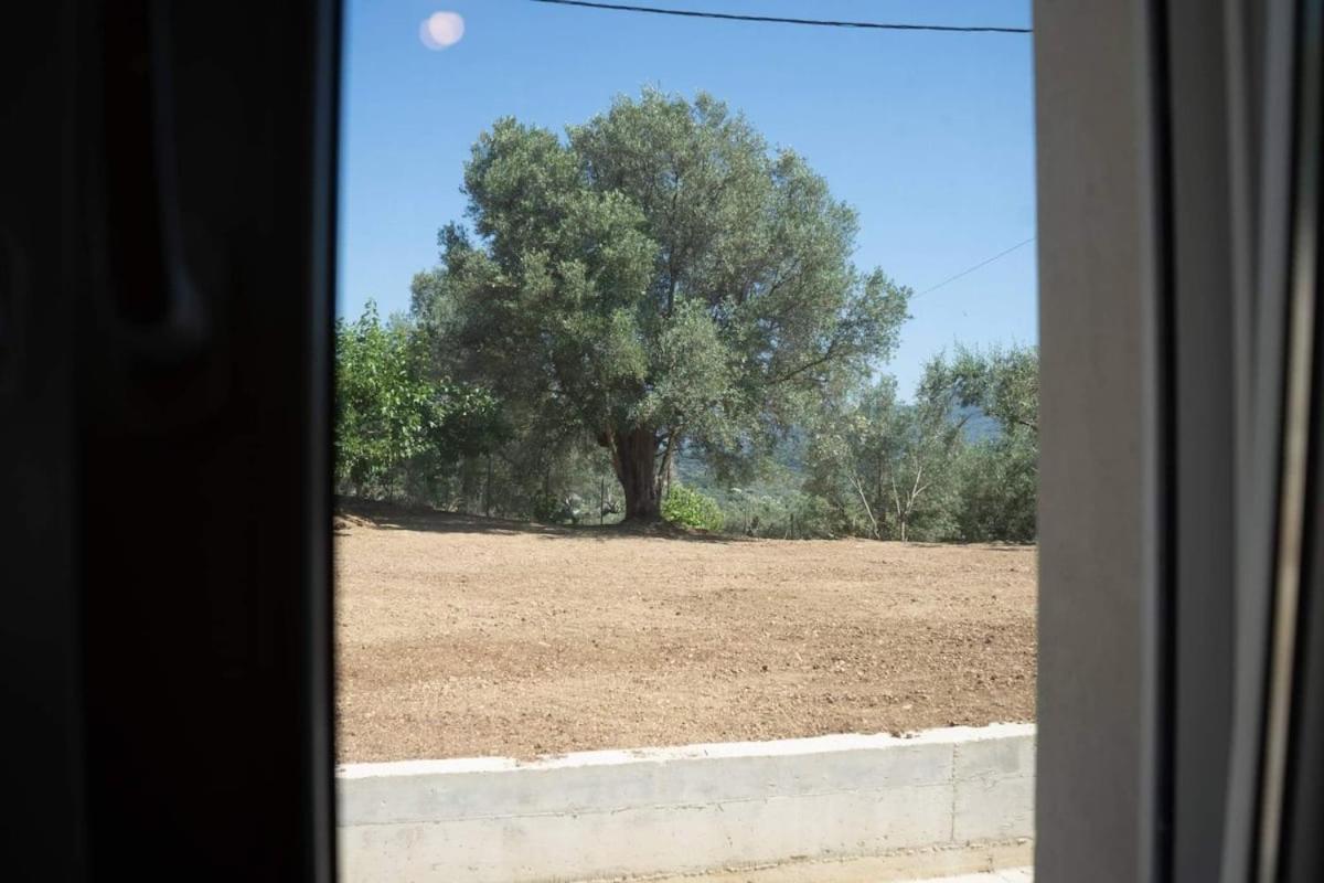 Catherine'S House Ηγουμενίτσα Εξωτερικό φωτογραφία